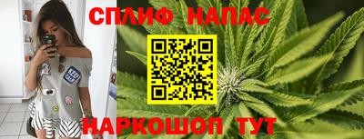 PSILOCYBIN Жуковский