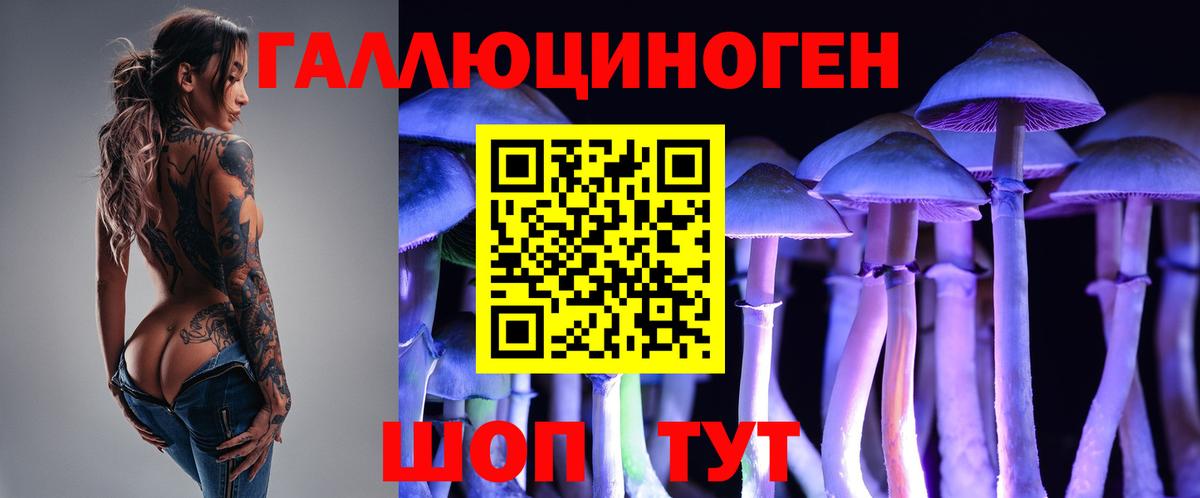 Псилоцибиновые грибы Cubensis  цена наркотик  Магадан  Галлюциногенные грибы ЛСД  Вход с VPN 